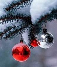 Семьи Соленовых, Зотовых и Рэйсов говорят: